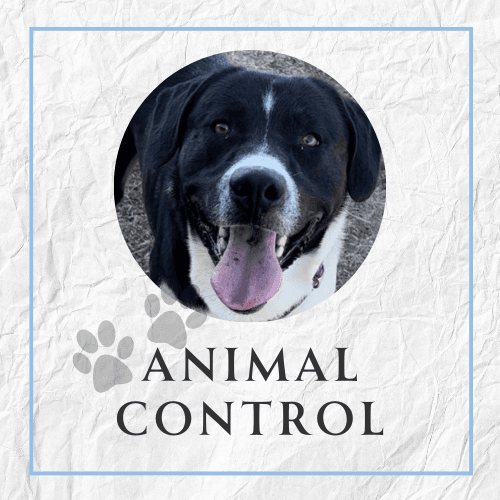 Animal control