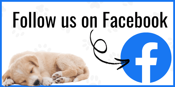 Follow us on Facebook Animal Control