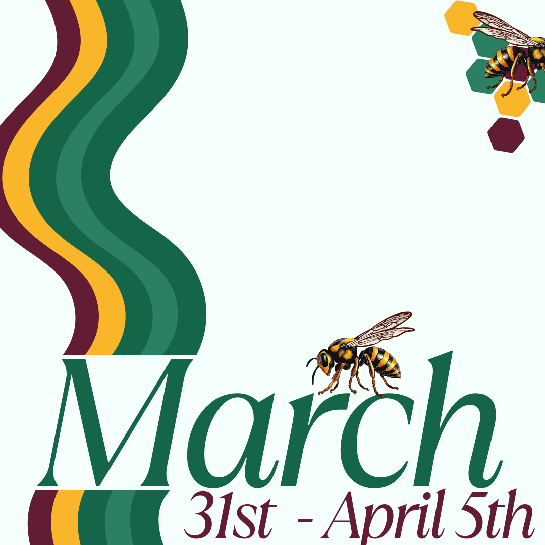 March 5 HIVE