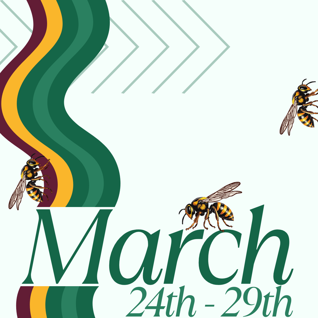 March 4 HIVE