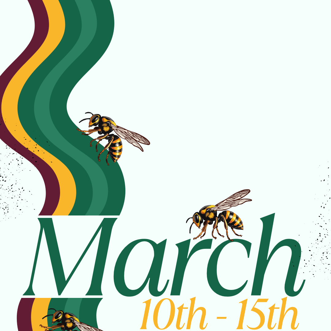 March 2 HIVE