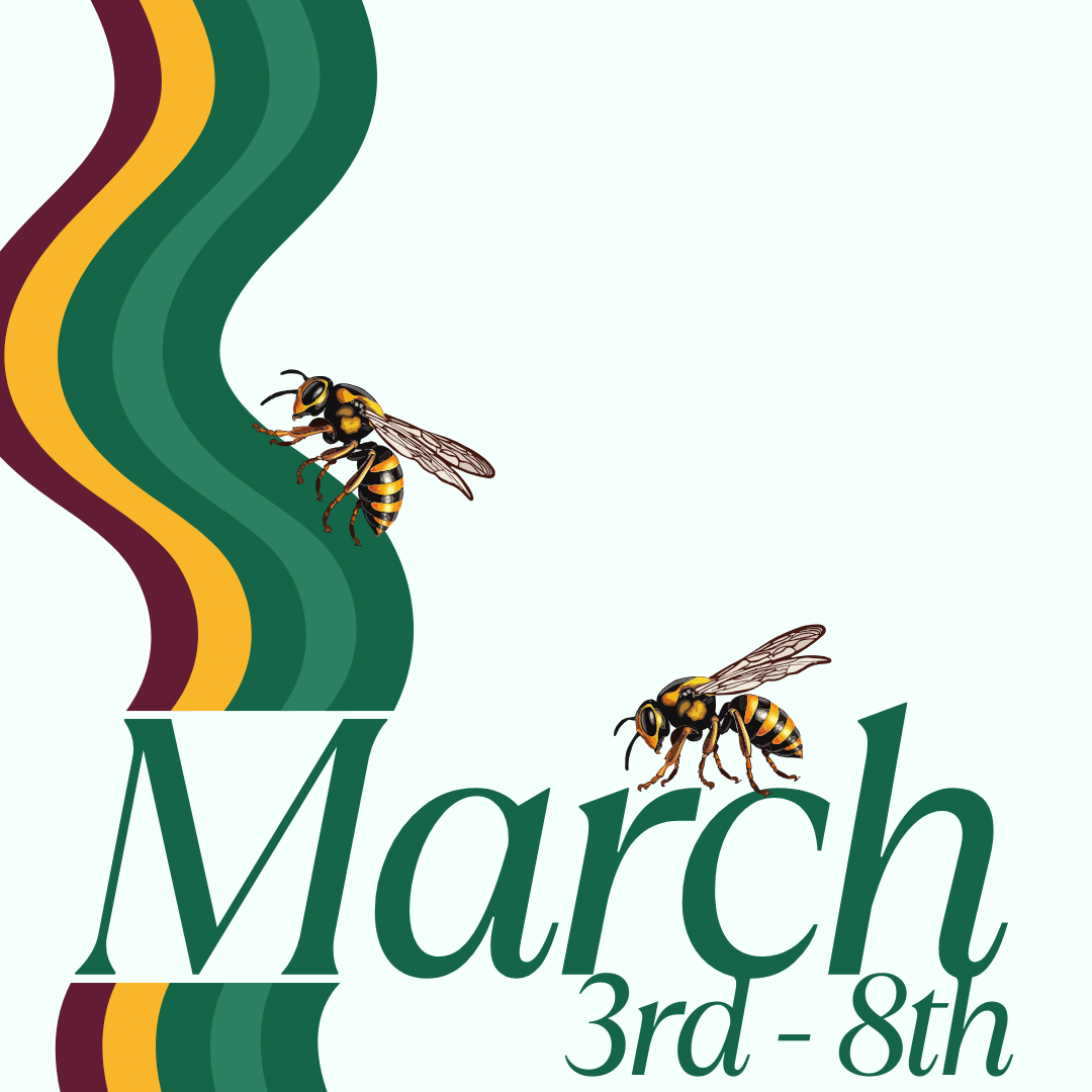 March 1 HIVE