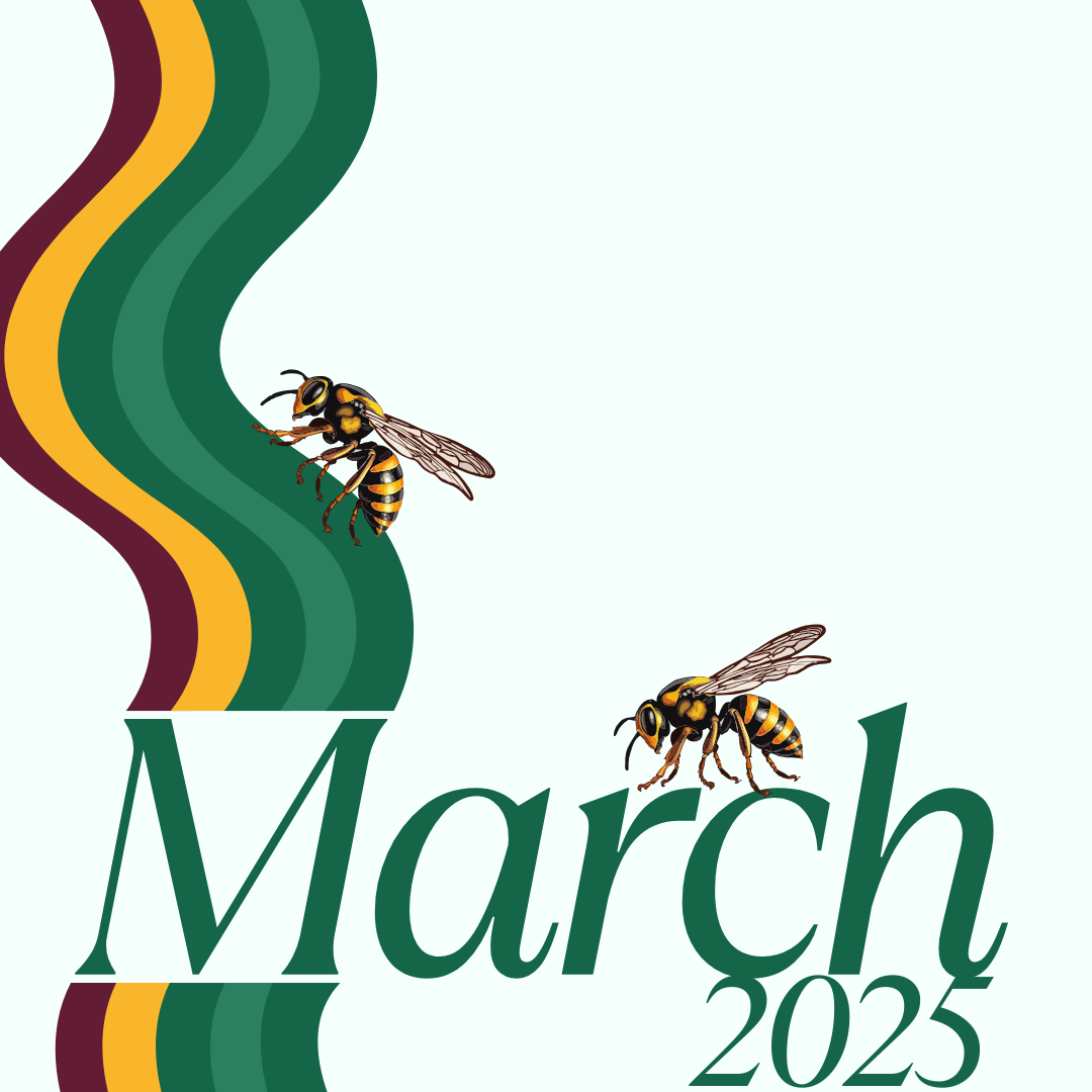March 2025 HIVE (1)