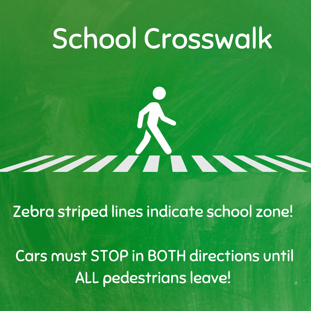 School Crosswalk safety (Instagram Post)