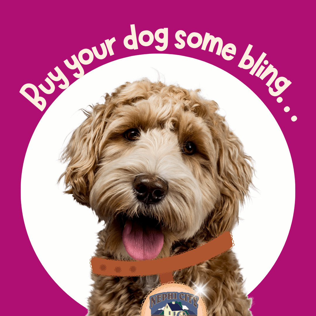 Dog Tag Licensing Opens in new window